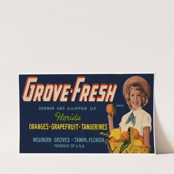 Grove-Fresh Brand Citrus Label (1930-1950)