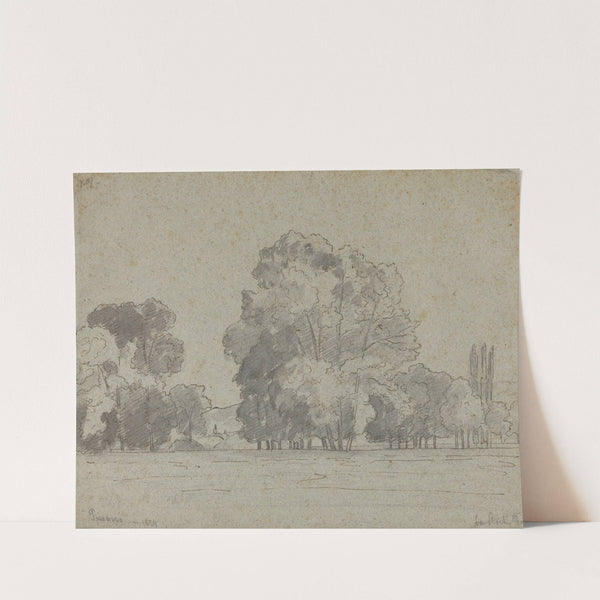 Grove of Trees (1859) by Camille Pissarro