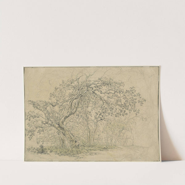 Grove of Trees (verso) by Friedrich Salathé