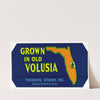 Grown in Old Volusia Orange Label (1930-1950)