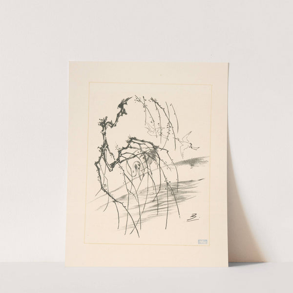 Grues derrière une branche d’arbre. (1866 - 1878) by Félix Bracquemond