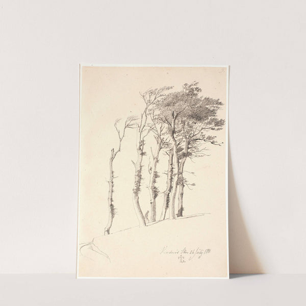 Gruppe af forblæste træer by Johan Thomas Lundbye