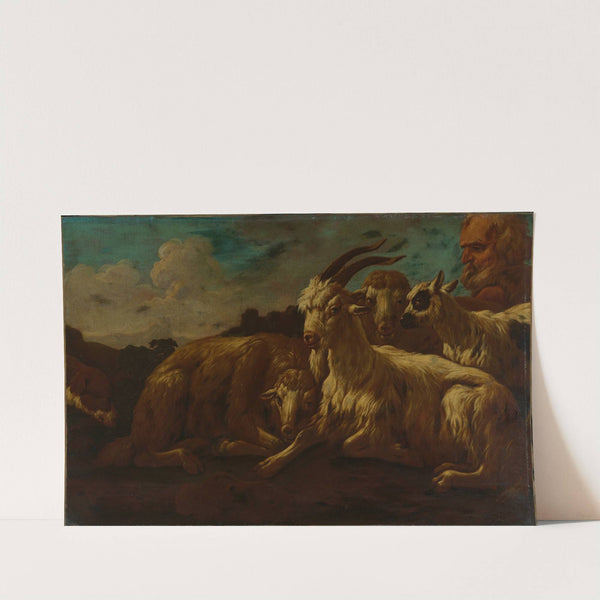 Gruppe von Ziegen und Schafen mit einem Hirt by Philipp Peter Roos