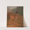 Guanaco by Jacques-Laurent Agasse