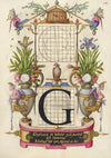Guide for Constructing the Letter G (1561–1596)