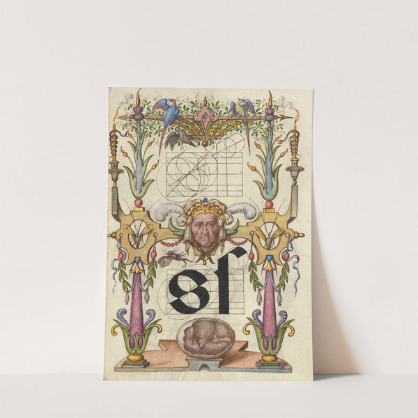Guide for Constructing the Letter s. (1561–1596) by Joris Hoefnagel