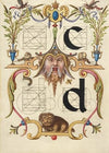Guide for Constructing the Letters c and d (1561–1596)