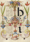 Guide for Constructing the Letters h and i (1561–1596)
