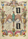 Guide for Constructing the Letters u and v (1561–1596)