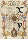 Guide for Constructing the Letters x and y