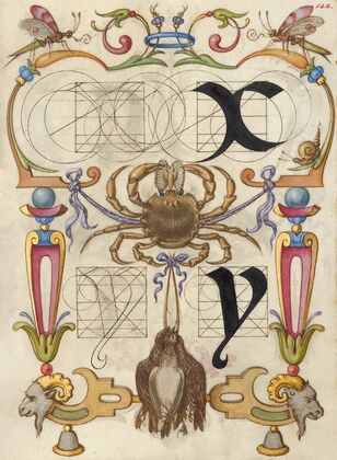 Guide for Constructing the Letters x and y