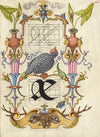 Guide for Constructing the Ligature ae (1561–1596)