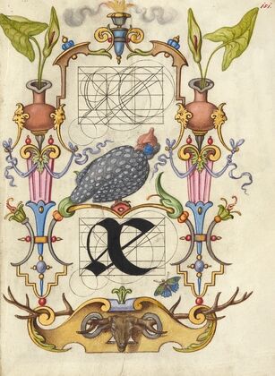 Guide for Constructing the Ligature ae (1561–1596)