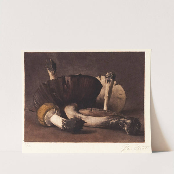 Gul Champignon by Peter Ilsted