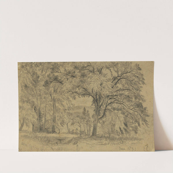 Gum Spring, Va. by Edwin Forbes