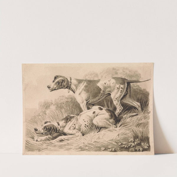 Gun Dogs by Samuel Howitt