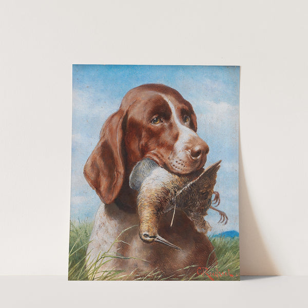 Gundog With Snipe by Carl Reichert