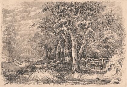 Gunton Park