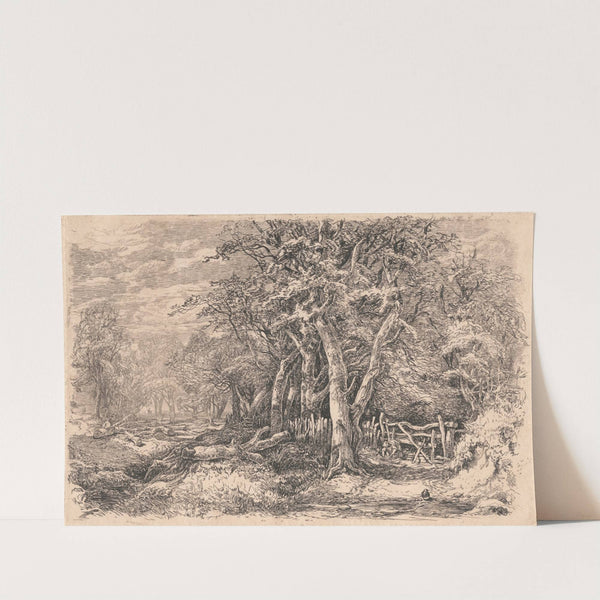 Gunton Park by John Middleton