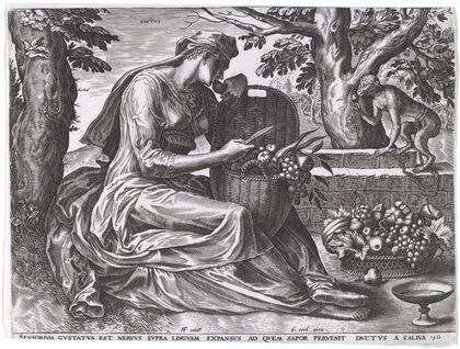 Gustus