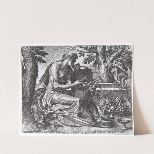 Gustus by Cornelis Cort