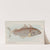 Haddock (1889) by Allen & Ginter