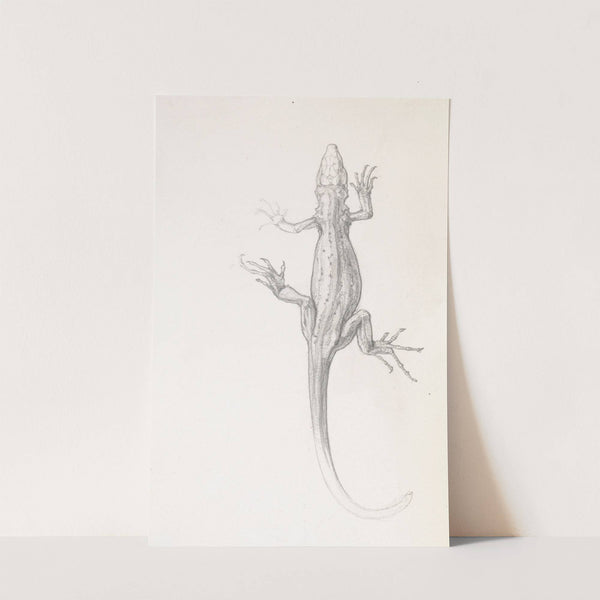 Hagedis by Julie de Graag