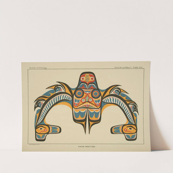 Haida Dog-Fish (1894) by Garrick Mallery