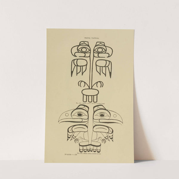 Haida Tattoo; double thunder-bird, double raven (1894) by Garrick Mallery