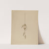 Hair Ornament by Melita Hofmann