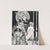Hamlet Pl.32 (1900-1922) by John Austen