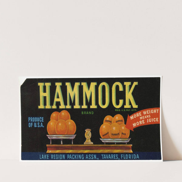 Hammock Brand Citrus Label (1930-1950)