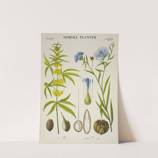 Hamp – Lin (1930) by Parmanns Læremiddel-anstalt