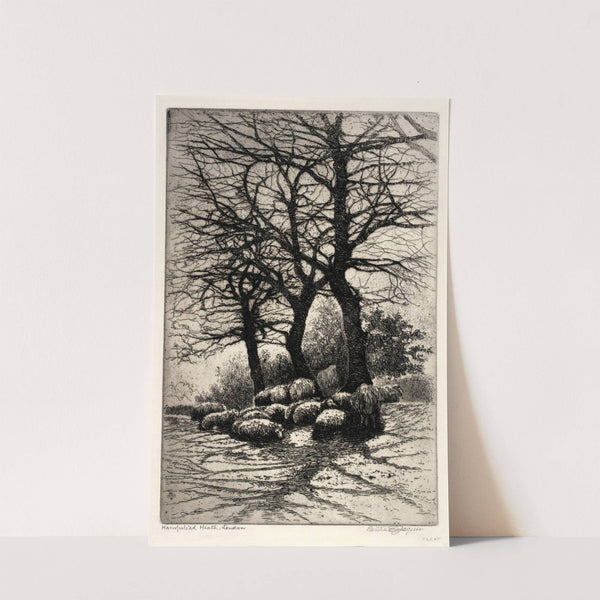 Hampstead Heath, London by Bertha Jaques