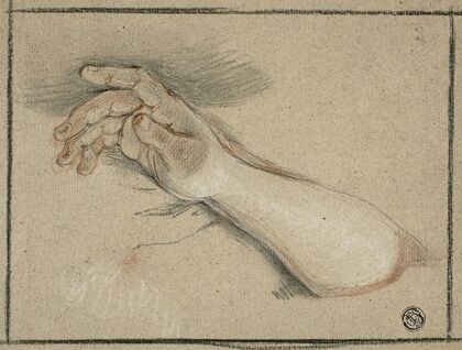 Hand and Forearm