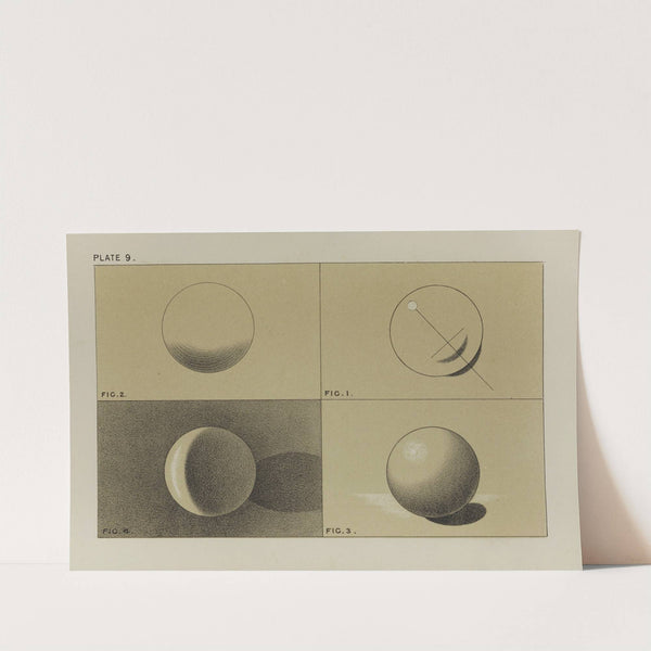 Handbook of light and shade, with especial reference to model drawing Pl.09 by Mary Philadelphia Merrifield