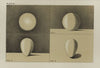 Handbook of light and shade, with especial reference to model drawing Pl.10