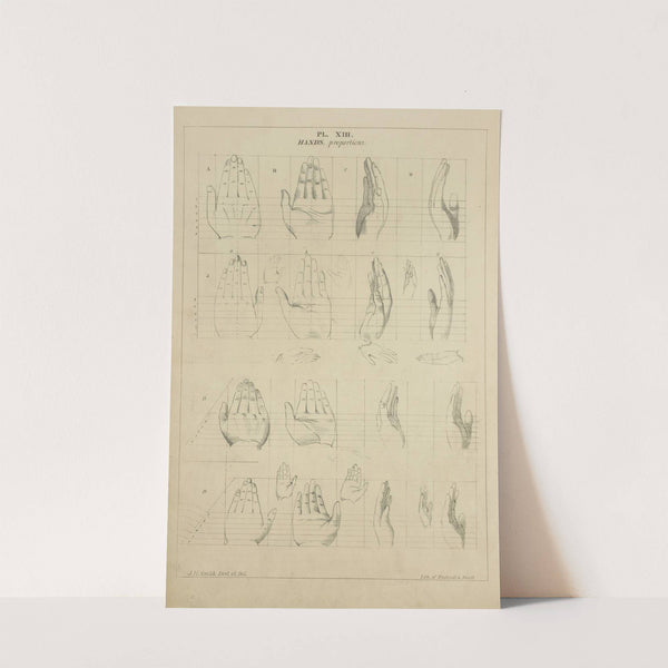 Hands - proportion by John Rubens Smith