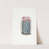 Handsome Mammillaria by Sydenham Edwards