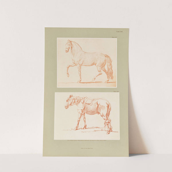 Handzeichnungen von Gottfried Schadow Pl.21 (1886) by Johann Gottfried Schadow