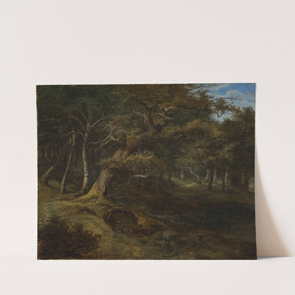 Hare-hunt in a Beech Forest by Christian Ezdorf