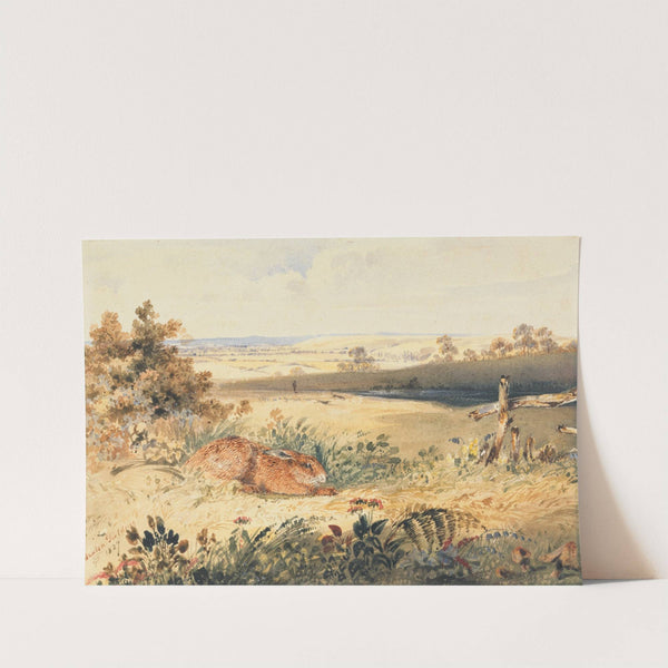 Hare in a Landscape by Newton Limbird Smith Fielding
