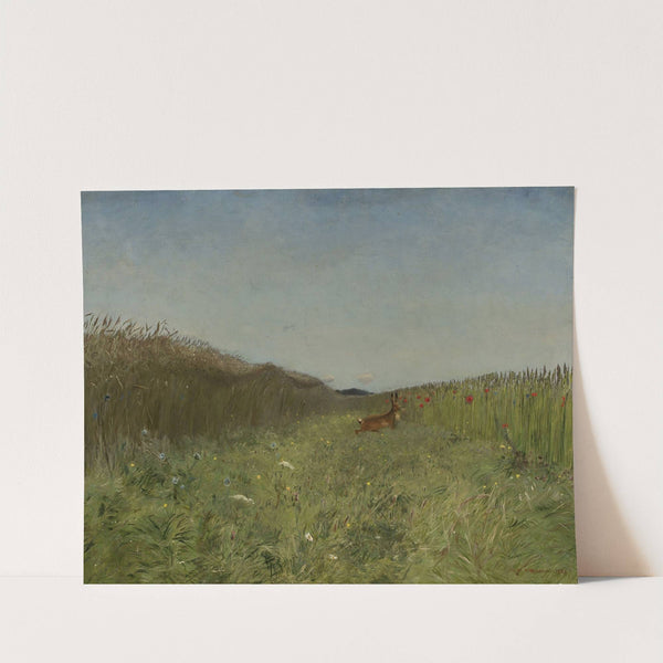 Hare in the grain by Jozef Chelmonski