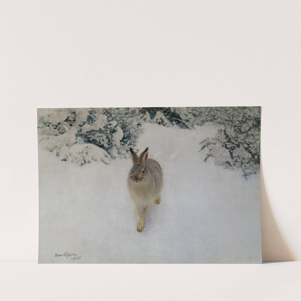 Hare in Winter (1905) by Bruno Liljefors