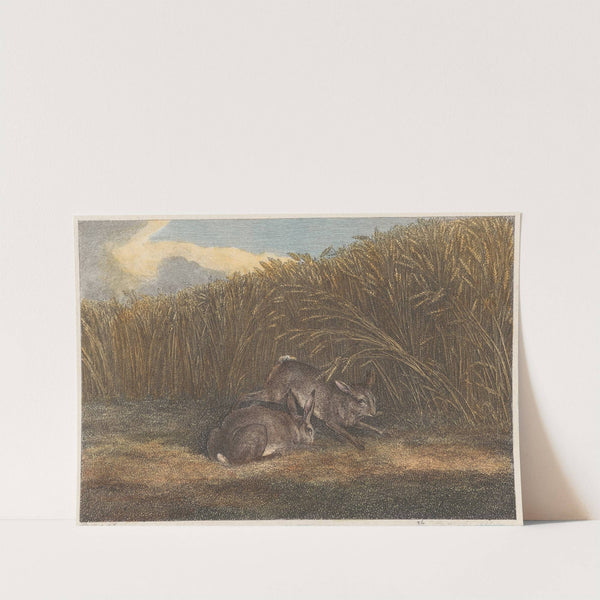 Hares Feeding (1812) by Samuel Howitt