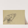 Harpy by Hans Thoma