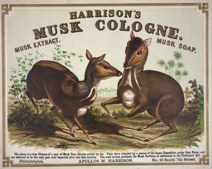 Harrison’s musk cologne. Philadelphia (1857)