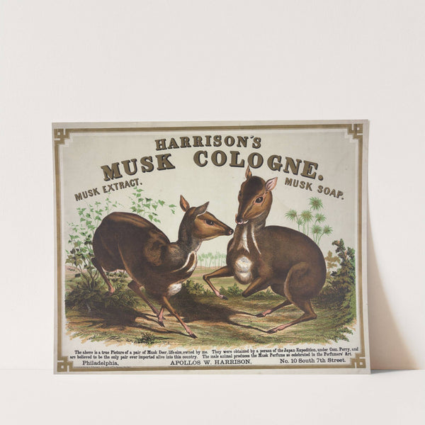 Harrison’s musk cologne. Philadelphia (1857) by Alphonse Bigot