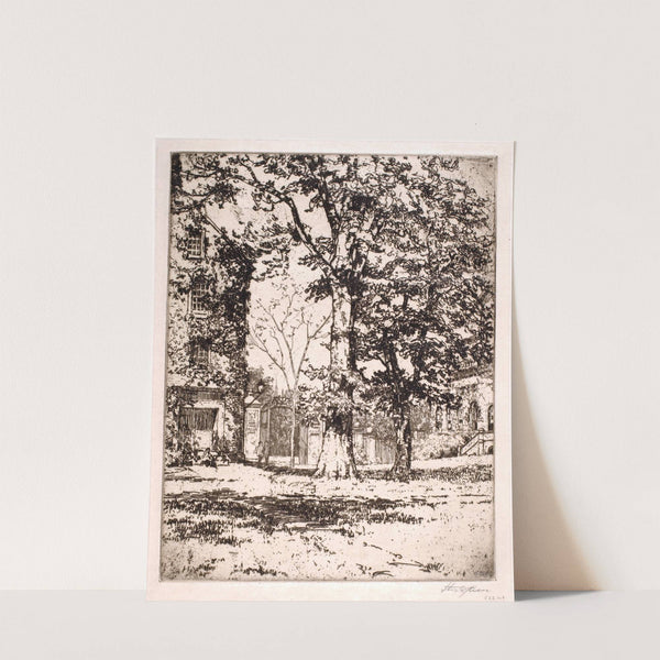 Harvard Yard by Thomas Wood Stevens