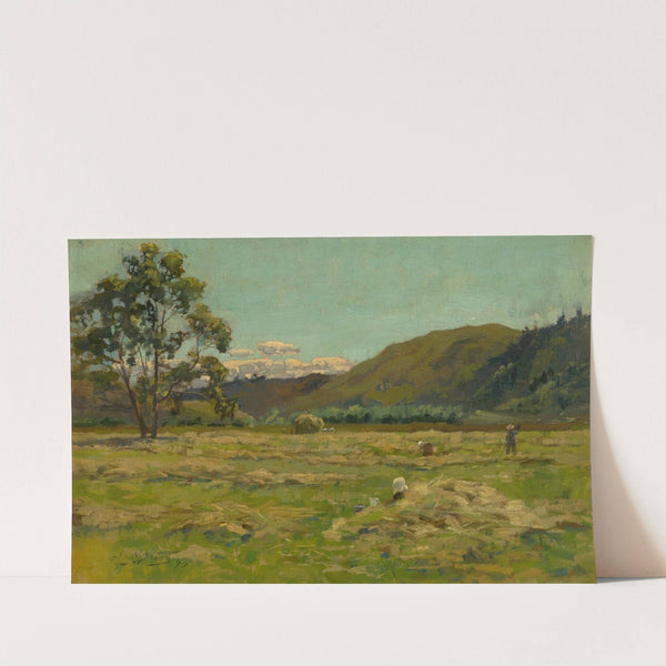 Harvest by James Nairn